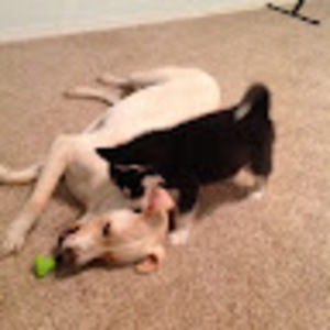 Meet your Posher, Lilian